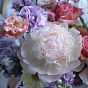 “Summer” Flower Box