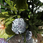 Interior Composition 20