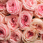 “Heart flutter” Mono Bouquet