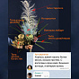 “Artemy” Signature Bouquet