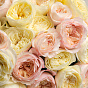 “Heart flutter” Mono Bouquet