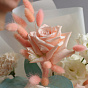 “Scented Mint” Bouquet