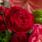 “Lingonberry In The Garden” Signature Bouquet