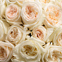“Pure charm” Mono Bouquet