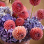 “Blooming Honey” Flower Box