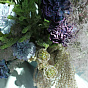 Interior Composition 20