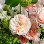 “Blossom” Signature Bouquet