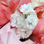 “Ursula” Signature Bouquet