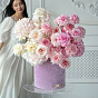 “Romeo and Juliet” Set (5 boxes)