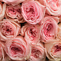“Heart flutter” Mono Bouquet