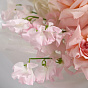 “Vanilla Marshmallow” Trio Bouquet