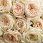 “Pure charm” Mono Bouquet