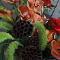 “Zeus” Signature Bouquet